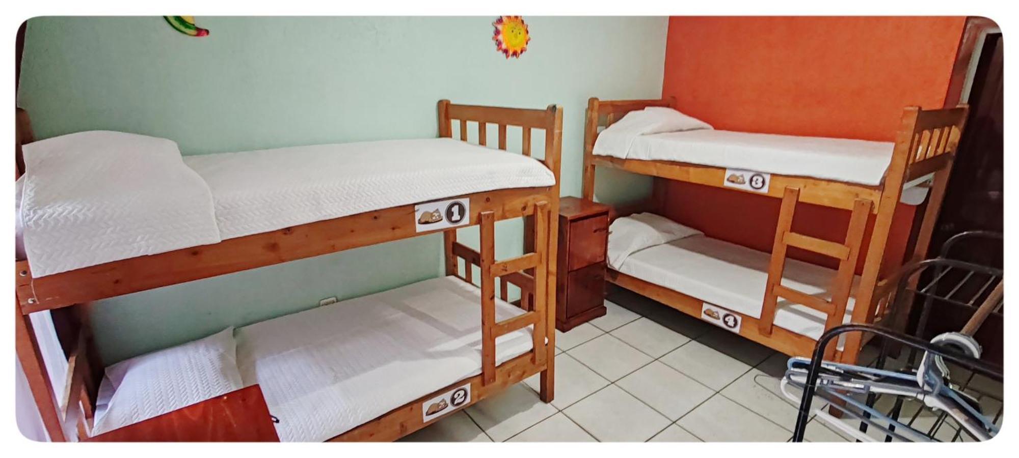 Hotel & Hostel Sloth Backpackers Monteverde Exterior photo