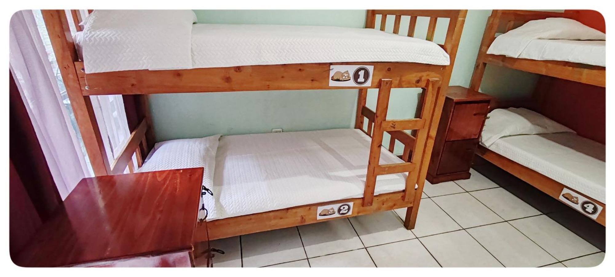 Hotel & Hostel Sloth Backpackers Monteverde Exterior photo